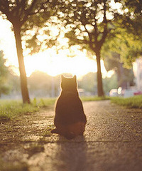 ���Ӻ͸�ĸ���䵭