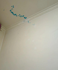 [����]����ը�ˣ�ȫ����֭�ڷ����ϣ����еþ���