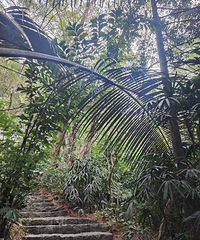 ����ɽû�뵽����ĺÿ� ��20����Ʊ��