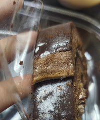 ������NB���ǵ��򵽷�ù�ĵ��ⷢù �������˴�����