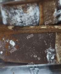 [�²�]������NB�򵽷�ù�ĵ��� �������˴�����