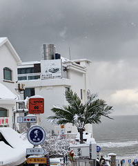 ����ѩ����˽֣��������߳����Ķ�������