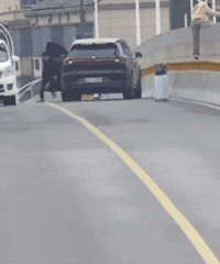 [����������]��������CEO�������������λ�����Է���