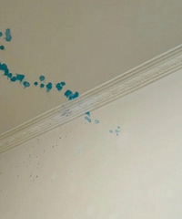 ����ը�ˣ�ȫ����֭�ڷ����ϣ�զ����