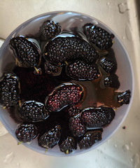 С����ϲ����ˮ�� ����ˮ��С������ʱ���˵������ զ��