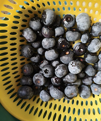 С����ϲ����ˮ�� ����ˮ��С������ʱ���˵������ զ��