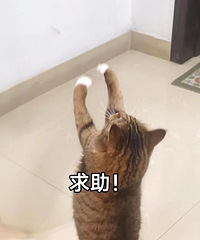 ��û���������Լ�װ�޵ģ����˶���Ǯ������һ��ʡǮ��װ�޹��ԣ�