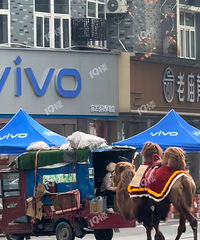 ����һ�ؾ������գ�����˵��Ӱ��Ҫ�շ� 20һ��