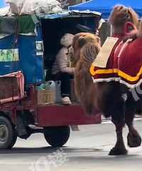 ������ ���ڽ��Ͽ����˸�ɶ������