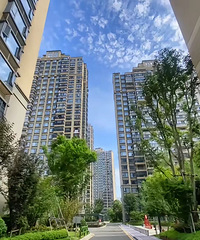 ����Ӧ�������ʺ����ӵ�һ���ˣ�