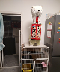 00����򹤣������겻�ؼ�ֱ�����ˣ�