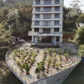 ���ι�״�Ļ���...