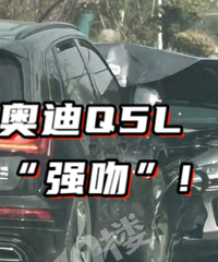 С�׵�����Ƕ��������ˡ�