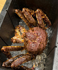 [����]˫���������׻ᱻ������96�ж��Ӽ����������