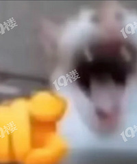 �о�����õ��԰�ò��õ�������Ҫ�������ˣ�