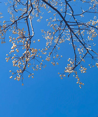 [����]���г����� ������ϰ�� ��Ϊ�Ҹ�����ѹ��