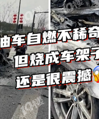 ���ѣ���̥��Ȼû�ţ���