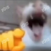 õ��԰���׺ò��ã�