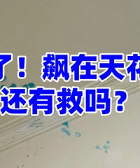 ����ը�ˣ�ȫ����֭�ڷ����ϣ�զ����