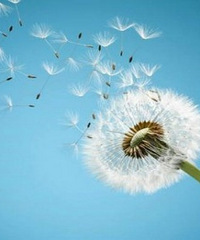 ��������� �����������ɶ�û����