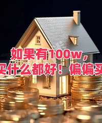 �����100w ȥ����ʲô���ã�ƫƫ��...