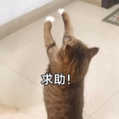 �Լ�װ�޻��˶���Ǯ��