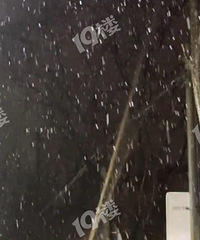 ������ѩ���µ����