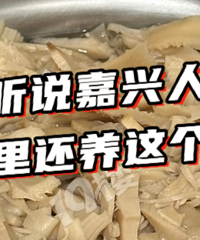 ���Ǽ��Ѿ������ˣ�