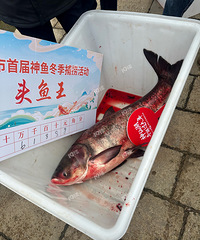 �������ɺ�������ͷ�����ļ۸�61888Ԫ��