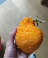 [����]������İҰҸ�զ��ô�󰡣����ѣ�Խ��Խ�𰡣�