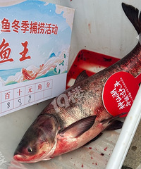 ͷ����������ۿ��Ի��У�