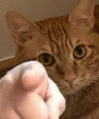 ����ѧ��:���������𷿣��Ժ������...��