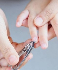 ���ϸ����Ӽ�ָ�� �������˵���ϲ��ܼ�