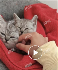 ����ͷ���������㶼�����ˣ���ƽʱ������ǧ�İ���