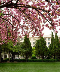 ���ںܶ���˵�������� ���ǿ��ϺõĴ�ѧ �����ܸı����˵�