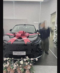 �³�������������5�����ϵƣ����˳��������ᳵ�������С���