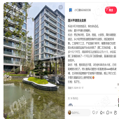 �Լ�����������