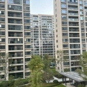 Ϊɶ�н����ҿ���巸�