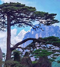 ���ǻẮ��ٴ��޳�ȥ������