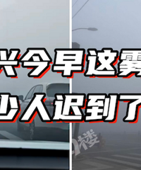 �������ɼ����ҡ�