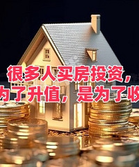 �ܶ�����Ͷ�ʣ�����Ϊ����ֵ����Ϊ������...