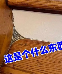 ¥������������εĶ���������ɶ���ð���