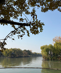 ������30w����Ů����