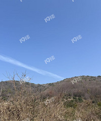 �����ͽ��������߷����ɽ�������˼ҳ������ٻص������˼ҡ�