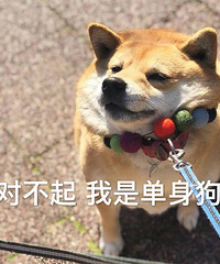 ������̳��86��ĵ����˷ǳ��࡭��