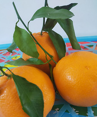 �������θ̺ͺ�ͷ�����ɣ���������ô����