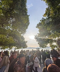 [����ͷ]��Ҳ������ҿ�������������ʢ���������̫����