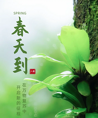 ֱ��24�棡������������Ҫ��ת�ˣ��㽭����5�ع����봺