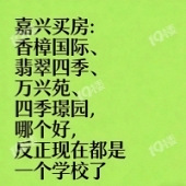 ���ĸ���ѡ˭��