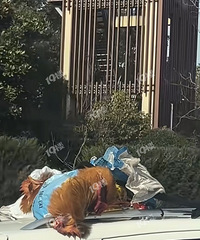 ̫���棡����һ��������ô�ѻ�������ˣ�